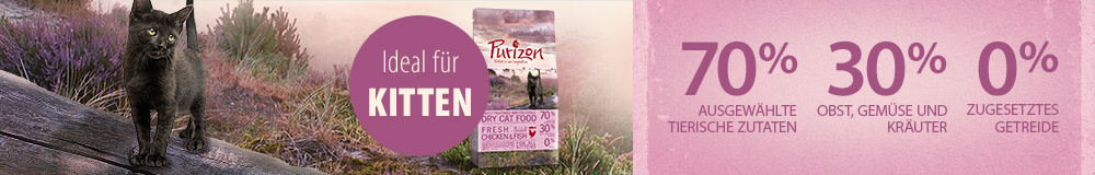 Ideal für Kitten
