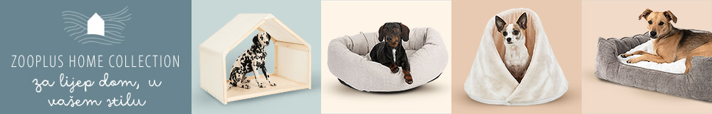 Home collection - sve za pse