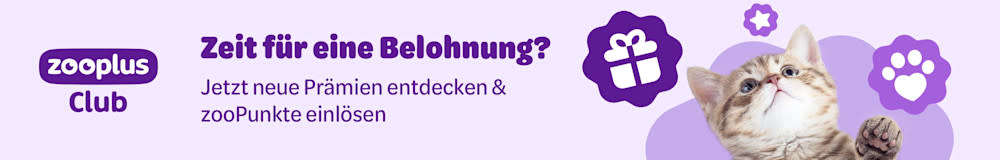 zooplus Club: Zeit für eine Belohnung? Jetzt neue Prämien entdecken & zooPunkte einlösen