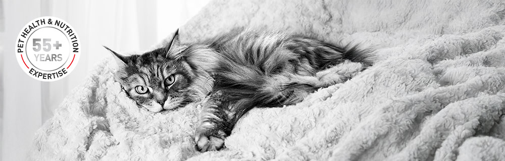 Royal Canin Pet Health & Nutrition Expertise for over 55 years