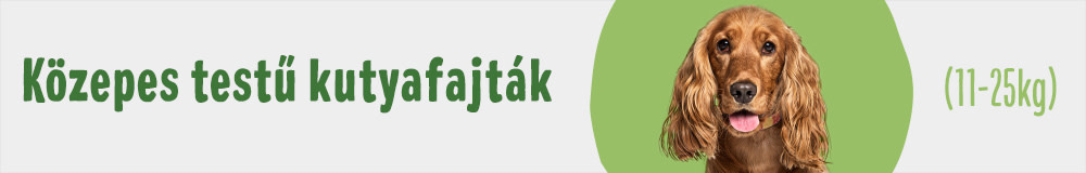 Közepes testű kutyafajták