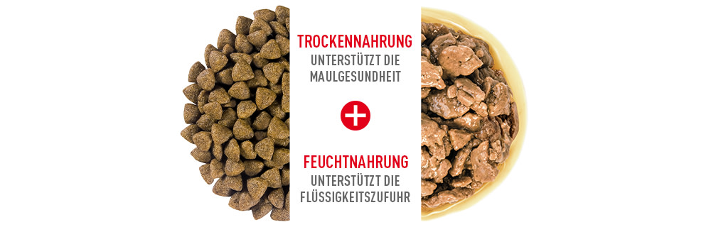 Royal Canin SHN Mixed Feeding