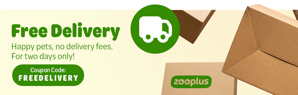 Free Delivery! Only for today!