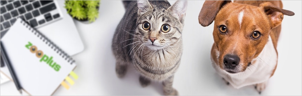   Ottieni consigli esperti per il tuo pet sul nostro magazine zooplus.