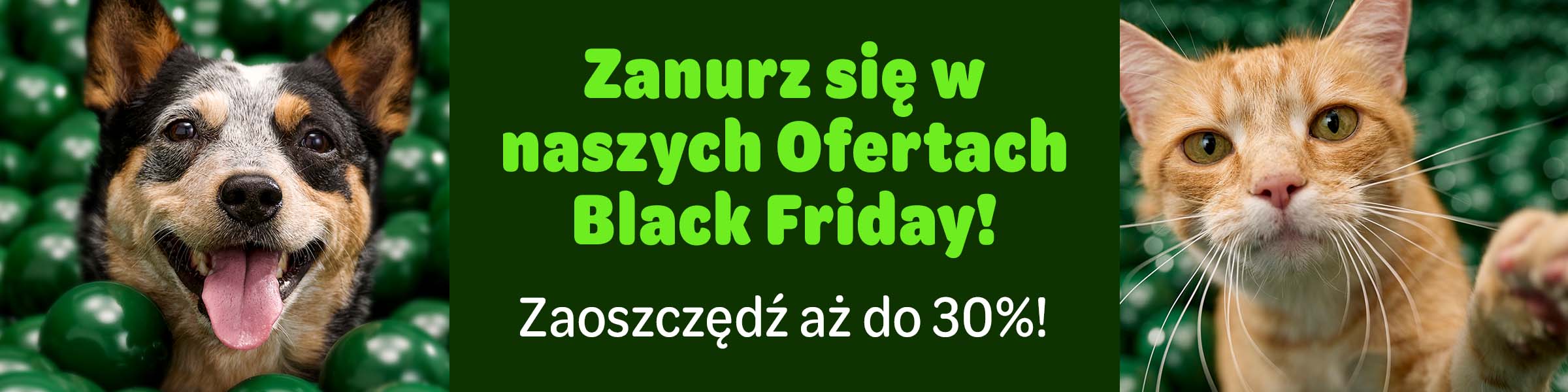 Odkryj najlepsze oferty roku.