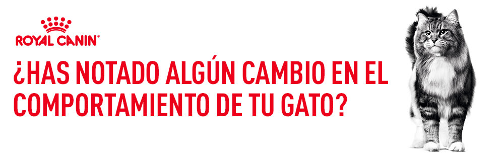 Royal Canin para gatos con sensibilidades específicas