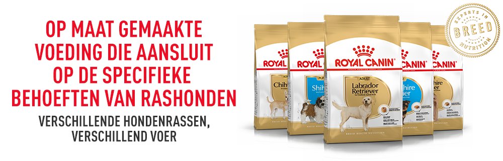 RC Breed hond