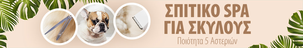 Σπιτικό SPA για Σκύλους