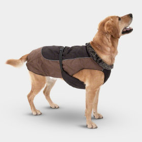 Manteaux et vêtements pour chien avec doublure