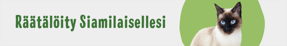 Cat Breed Siamese 1000x160 FI