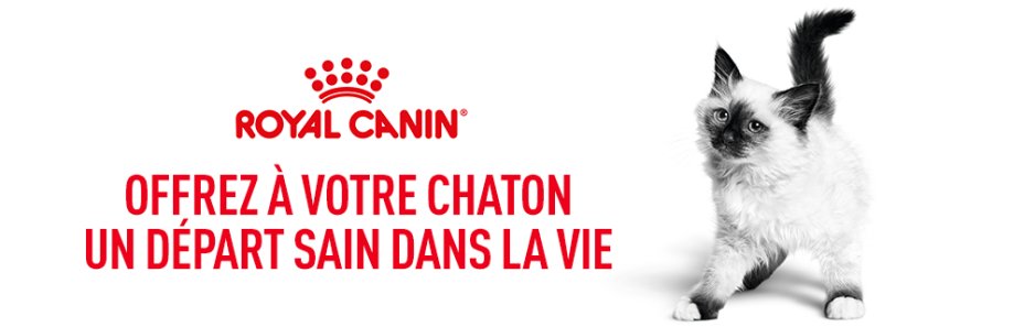 Royal Canin Kitten Subpage - Top Middle banner Image