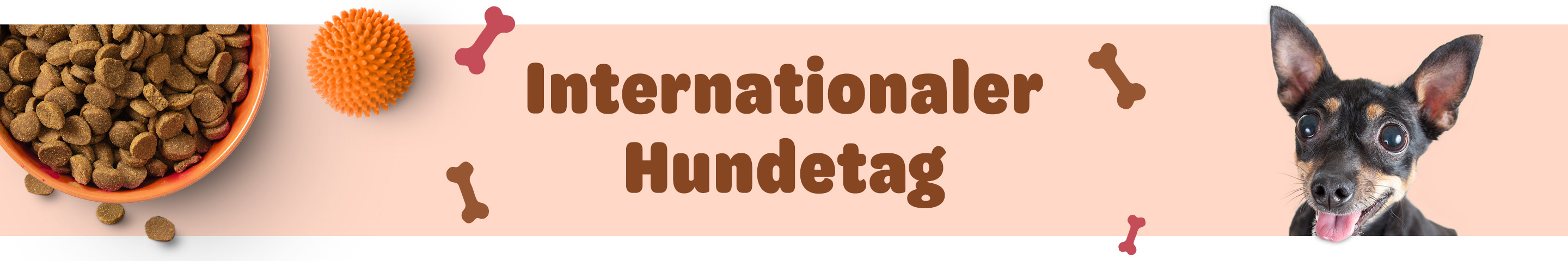 Bis zu 20% Rabatt: Wir feiern den internationalen Hundetag. Beste Angebote sichern