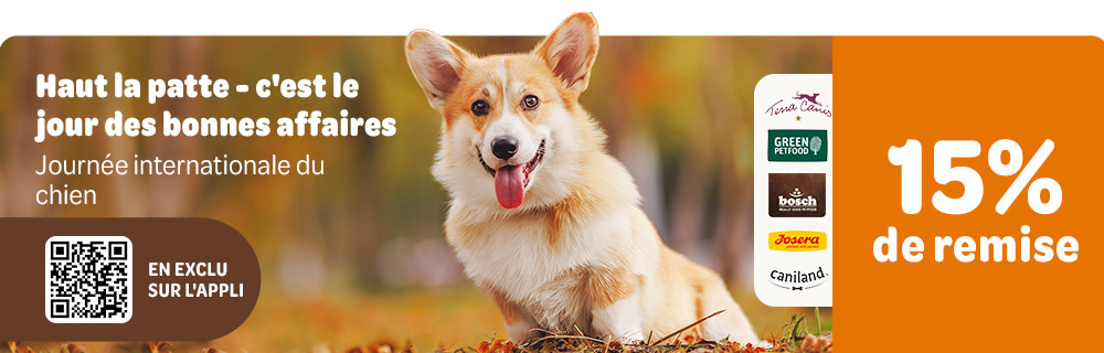 En exclu sur l'appli: Haut la patte - c'est le jour des bonnes affaires. Journée internationale du chien. 15% de remise