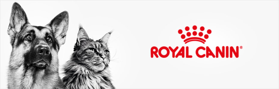 Cэкономьте с большими промоупаковками сухого корма Royal Canin для собак и кошек!