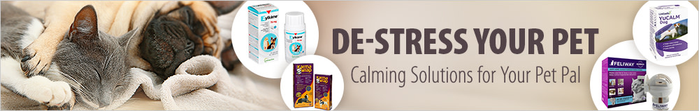 Discover Calming Treatments