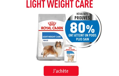 Royal Canin Canine Care Subpage - Light Weight Care Image