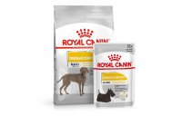 Royal Canin Dermacomfort perros