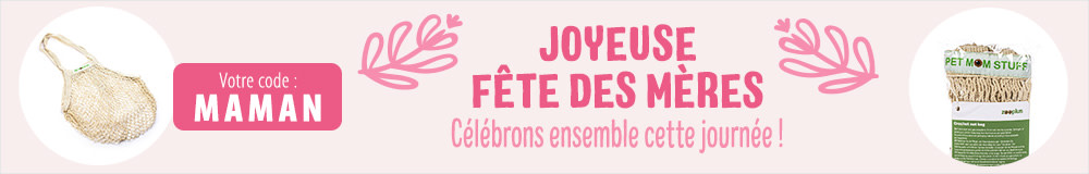 💗 Joyeuse Fête des Mères 