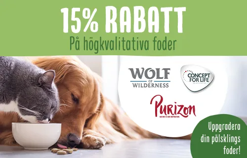 15% rabatt