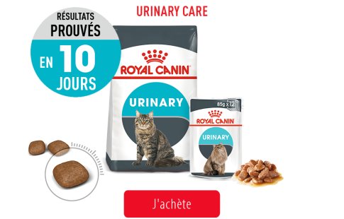 Royal Canin Feline Care Subpage - Grid Urinary Care Image