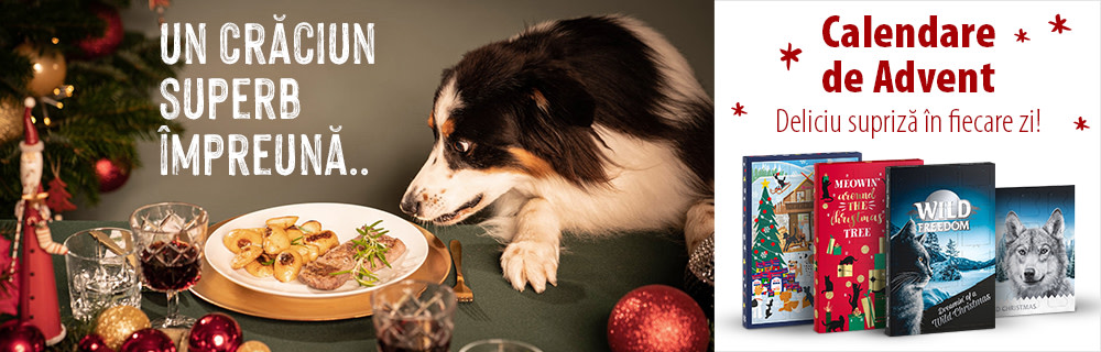 Calendare de Advent pentru câini!