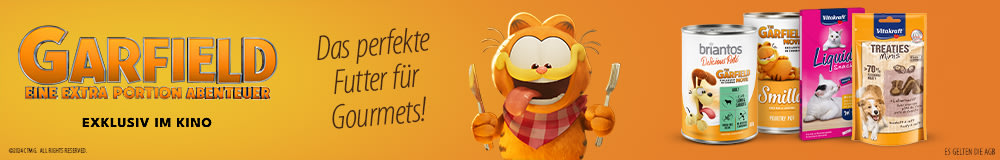  Garfield – Eine extra Portion Abenteuer ab 09.05.2024 in den Kinos