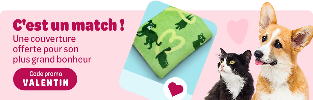 Cadeau de la Saint-Valentin