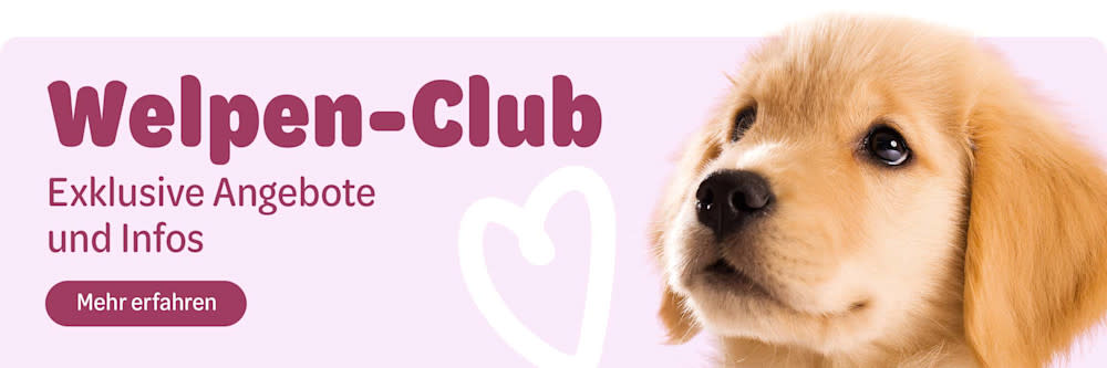 Puppy Club