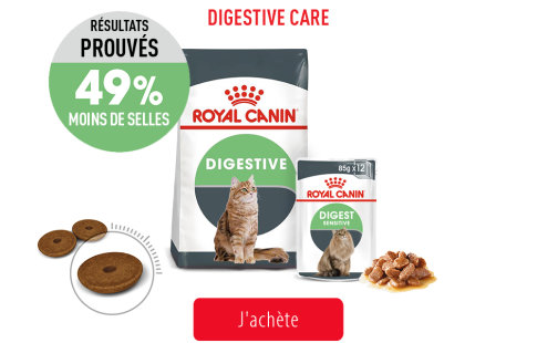 Royal Canin Feline Care Subpage - Grid Digestive Care Image