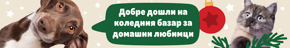 Коледен базар