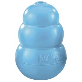 Kong Puppy