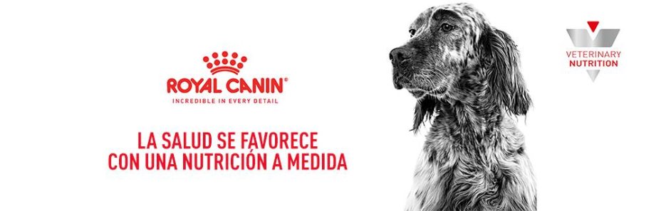 Royal Canin Veterinary para perros