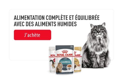 ROYAL CANIN BRAND PAGE - CAT Subpage - Picture Grid Container - RC Top Marque image