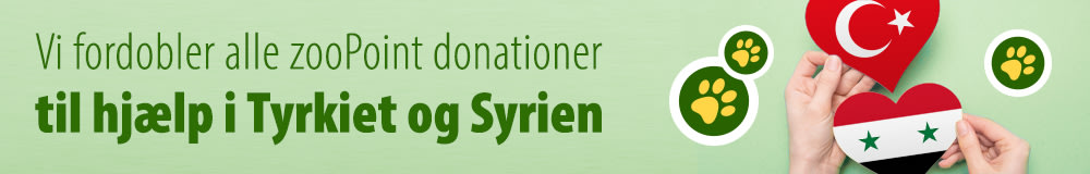 Vi fodobler alle zooPoints donationer til hjælp i Tyrkiet og Syrien
