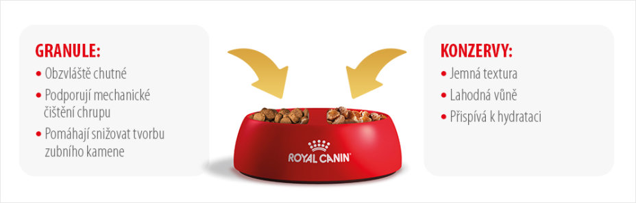 royal canin 