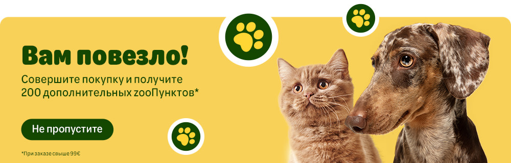 Дарим 200 zooПунктов к каждому заказу свыше 99€