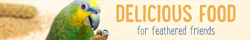 Bird Food | Buy Now for Less at zooplus
