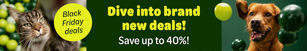 Dive into Black Friday deals - Save up to 40%!