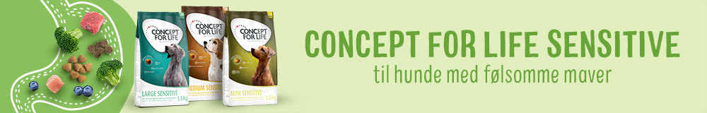 Concept for Life Hund