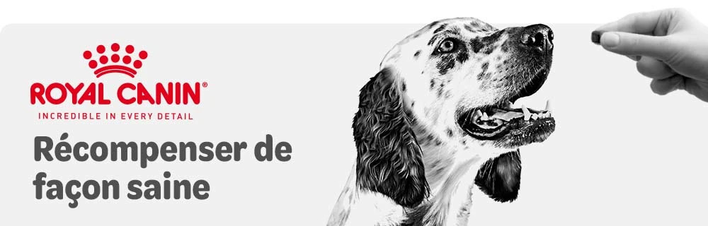 Royal Canin Snacks