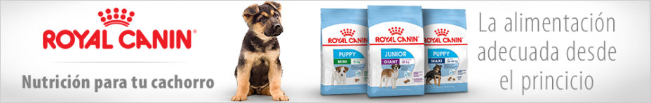 Royal Canin Puppy para perros