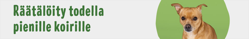 Dog Breed Mixed XSmall 1000x160 FI