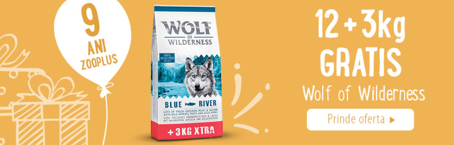 12 + 3 kg gratis! 15 kg Wolf of Wilderness Adult