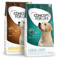 Concept for Life Dog für spezielle Bedürfnisse