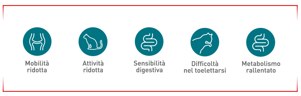 I primi segnali da tenere d’occhio