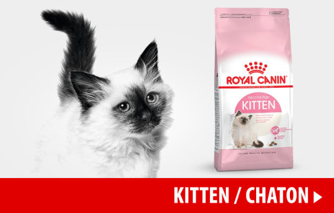 Nourriture Royal Canin pour chaton >