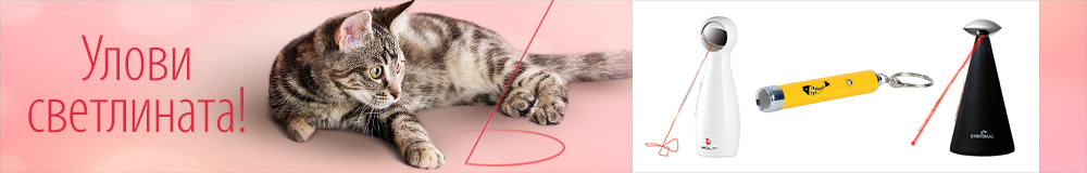 Равийте бързината на котето!