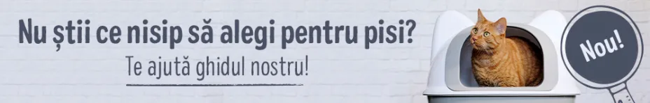 Nu știi ce nisip să alegi pentru pisica ta? Te ajută ghidul nostru!