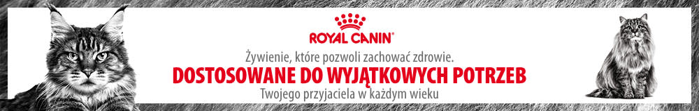 Royal Canin Katzenfutter für Seniorkatzen
