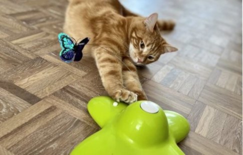 Hugo x Funny Butterfly Cat Toy